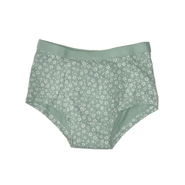 Girls night-time training pants - Daisy Dreams